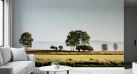 Misty Morning Horizon Landscape Wall Mural