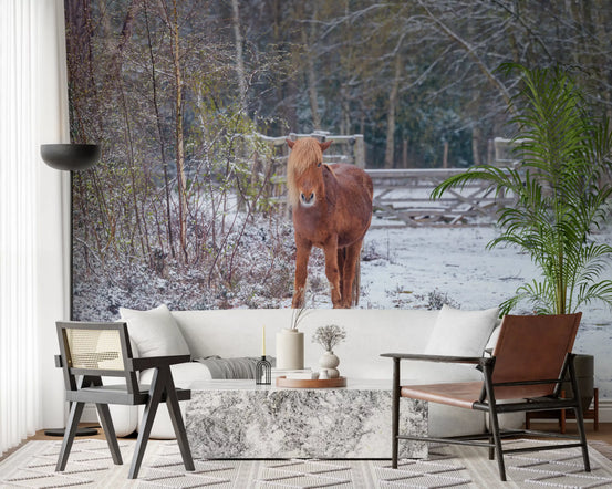 Living room with white sofa and animal wallpaper of a chestnut pony in a snowy woodland GD13054