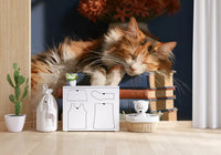 Calico Cat Sleeping on Stack of Old Books Wall Mural