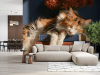 Calico Cat Sleeping on Stack of Old Books Wall Mural