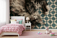 Resting Maine Coon on Geometric Tile Wall Mural