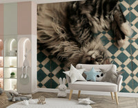 Resting Maine Coon on Geometric Tile Wall Mural