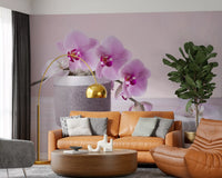 Minimalist Orchid Still Life Wall Mural