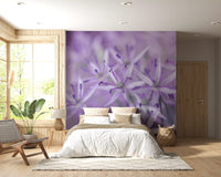 Violet Allium Macro Bloom Wall Mural