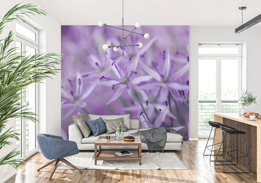 Violet Allium Macro Bloom Wall Mural
