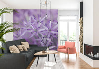 Violet Allium Macro Bloom Wall Mural