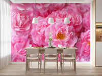 Soft Pink Peony Bloom Field Wall Mural