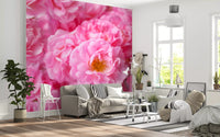 Soft Pink Peony Bloom Field Wall Mural