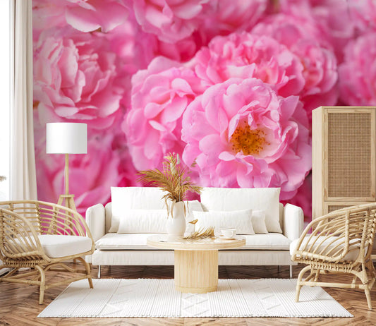 Soft Pink Peony Bloom Field Wall Mural