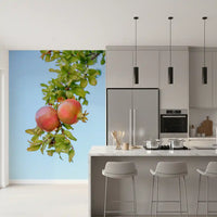 Sun-Ripened Pomegranate Harvest Wall Mural