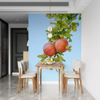 Sun-Ripened Pomegranate Harvest Wall Mural