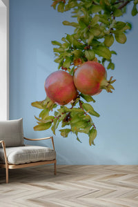 Sun-Ripened Pomegranate Harvest Wall Mural