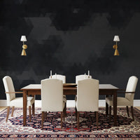 Charcoal Abstract Geometric Shards Wall Mural