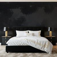 Charcoal Abstract Geometric Shards Wall Mural