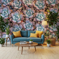 Desert Bloom Succulent Motif Wall Mural