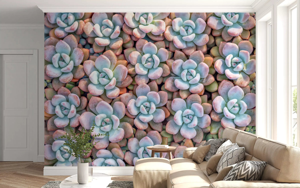 Desert Bloom Succulent Motif Wall Mural