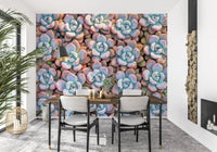 Desert Bloom Succulent Motif Wall Mural
