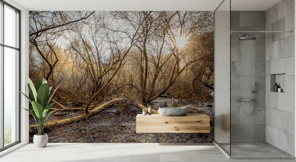 Sun-Drenched Wilderness Canopy Wall Mural