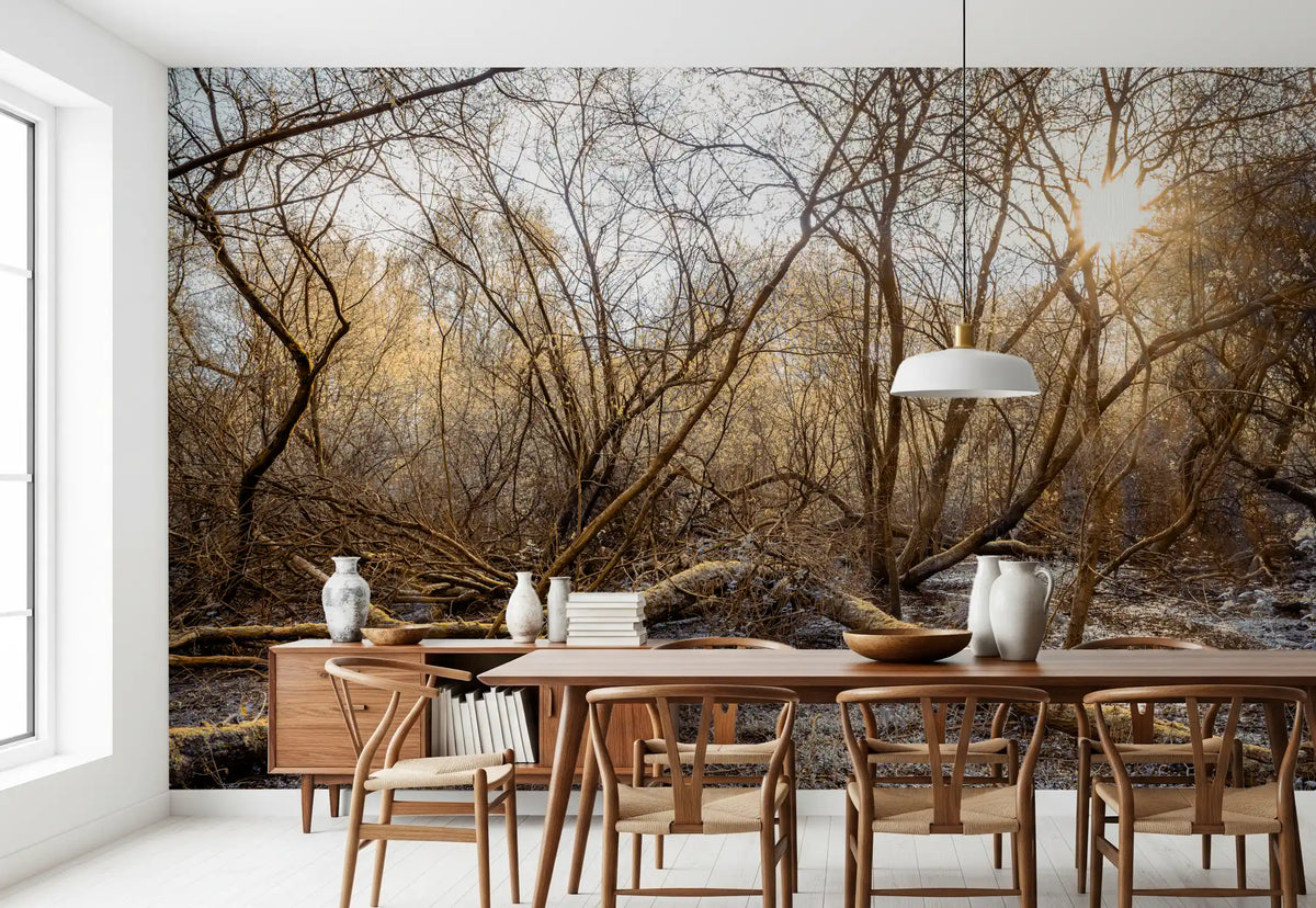 Sun-Drenched Wilderness Canopy Wall Mural