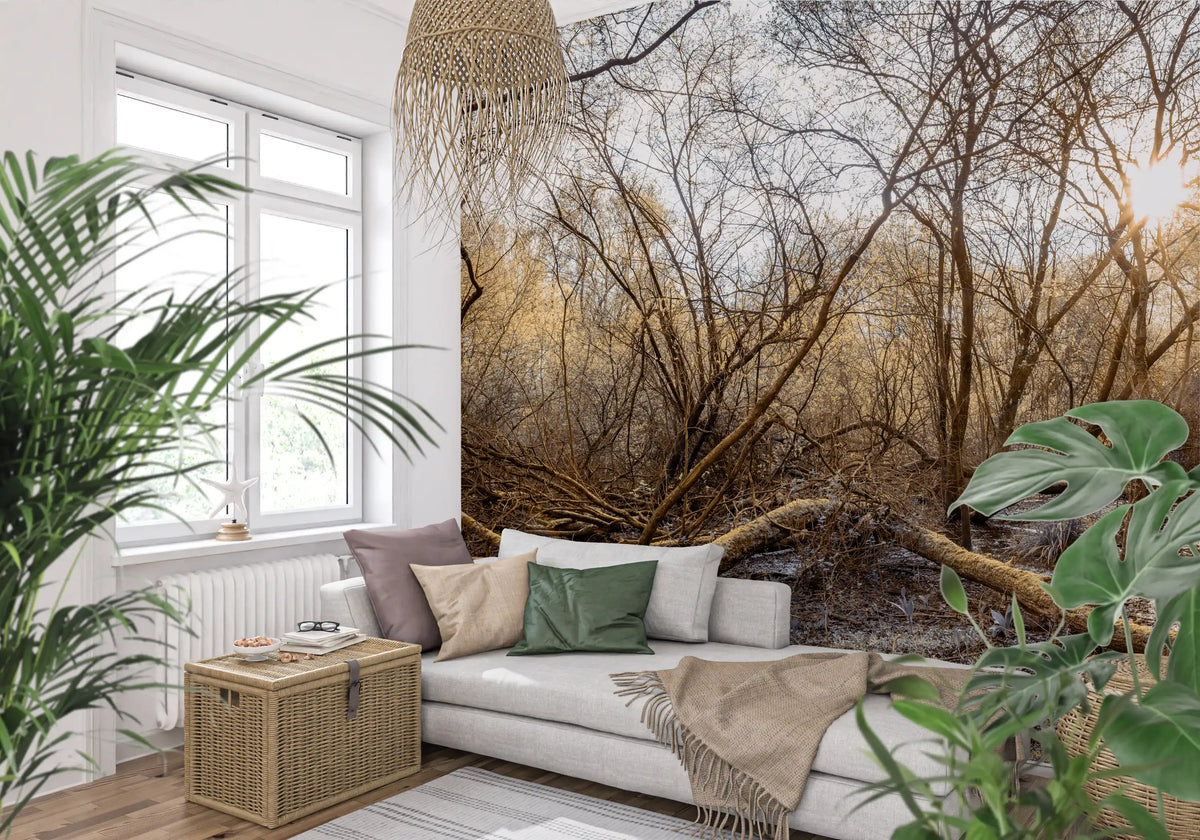 Sun-Drenched Wilderness Canopy Wall Mural