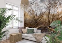 Sun-Drenched Wilderness Canopy Wall Mural