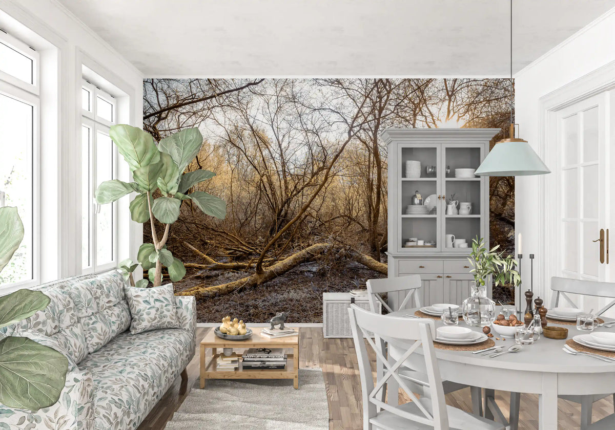 Sun-Drenched Wilderness Canopy Wall Mural