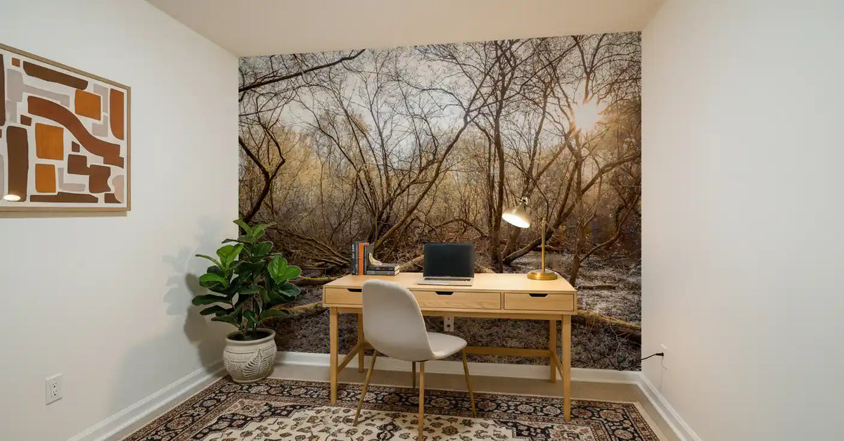 Sun-Drenched Wilderness Canopy Wall Mural