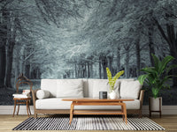 Serene Forest Canopy Path Wall Mural