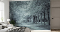 Serene Forest Canopy Path Wall Mural