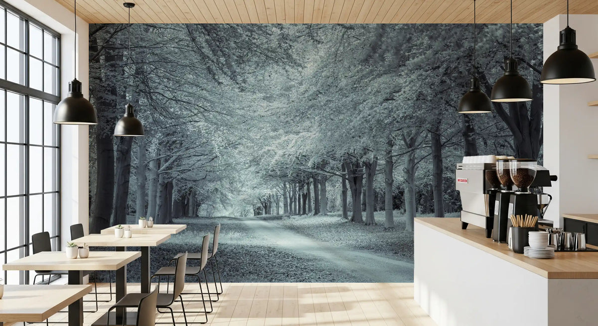 Serene Forest Canopy Path Wall Mural
