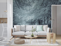 Serene Forest Canopy Path Wall Mural