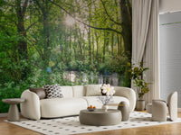 Sun-Dappled Wilderness Woodland View Wall Mural