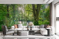 Sun-Dappled Wilderness Woodland View Wall Mural
