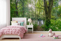 Sun-Dappled Wilderness Woodland View Wall Mural