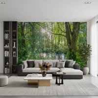 Sun-Dappled Wilderness Woodland View Wall Mural