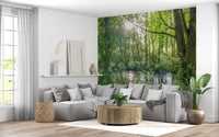Sun-Dappled Wilderness Woodland View Wall Mural