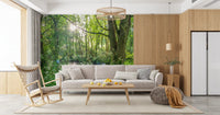 Sun-Dappled Wilderness Woodland View Wall Mural