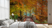 Misty Woodland Bridge Walkway Wall Mural