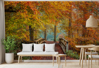 Misty Woodland Bridge Walkway Wall Mural