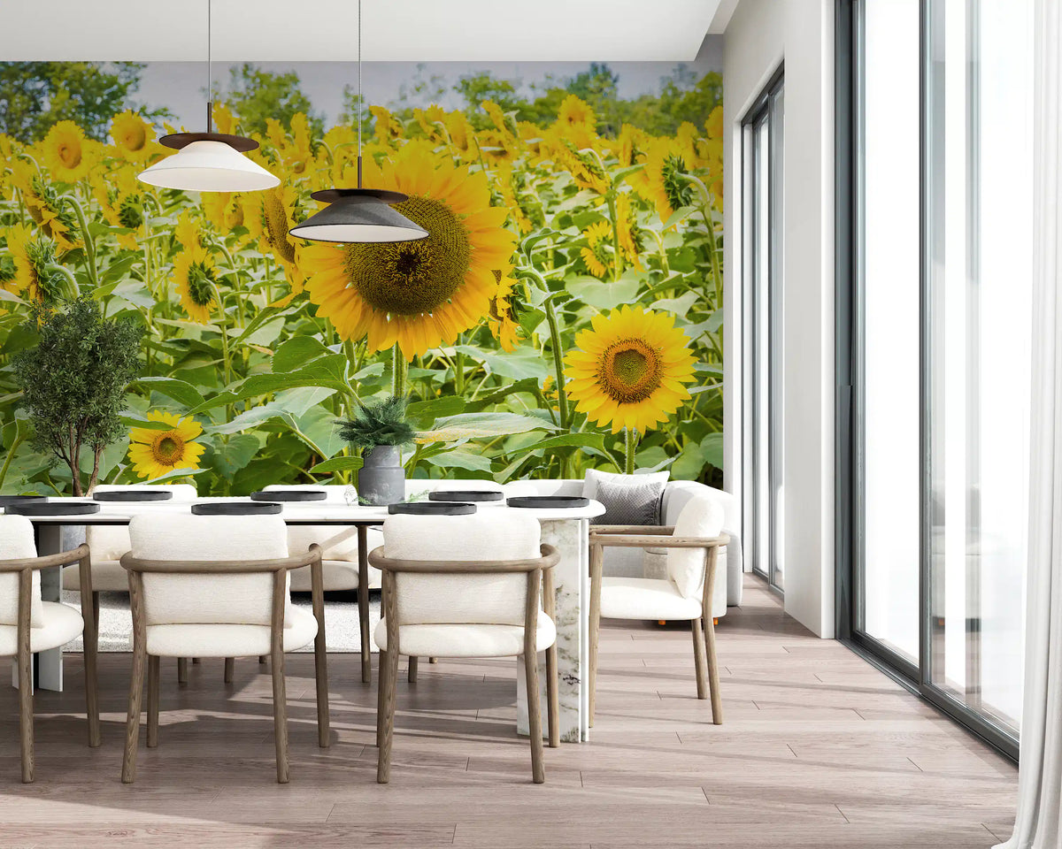 Golden Sunflower Field Meadow Wall Mural