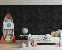 Eternal Star Atlas - Charcoal Wallpaper⁠