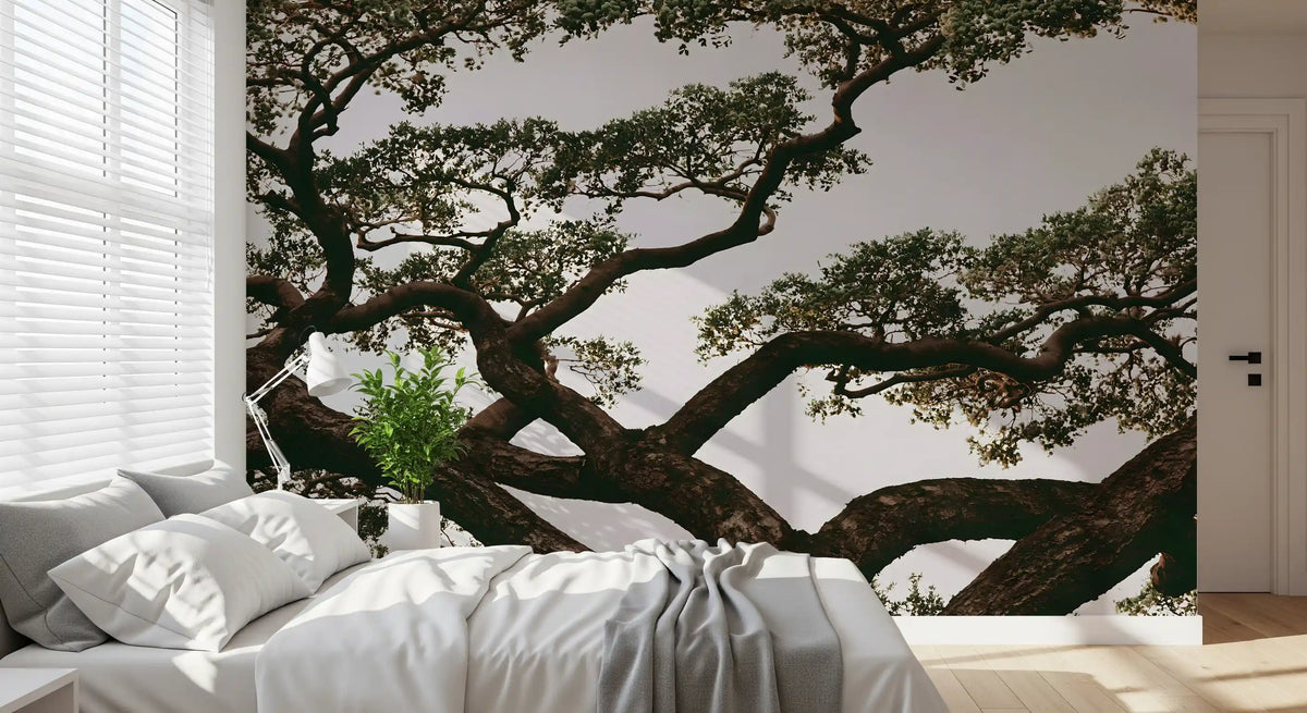Ancient Canopy Silhouette Wall Mural
