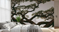 Ancient Canopy Silhouette Wall Mural
