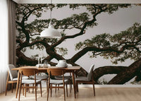 Ancient Canopy Silhouette Wall Mural