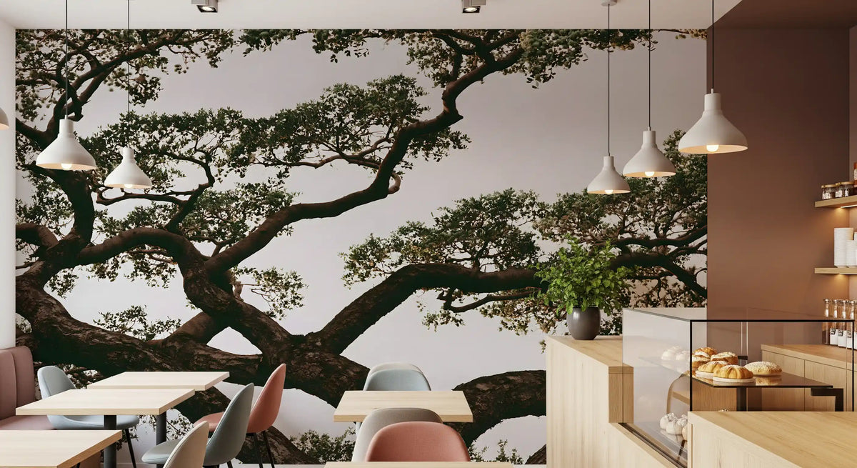 Ancient Canopy Silhouette Wall Mural