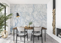 Arctic Veined Marble Texture Wall Mural