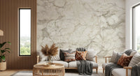 Cream Stone Marble Texture Wall Mural