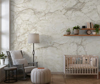 Cream Stone Vein Texture Wall Mural