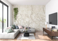 Classic Cream Marble Stone Wall Mural