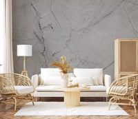 Minimalist Grey Marble Veining Wall Mural